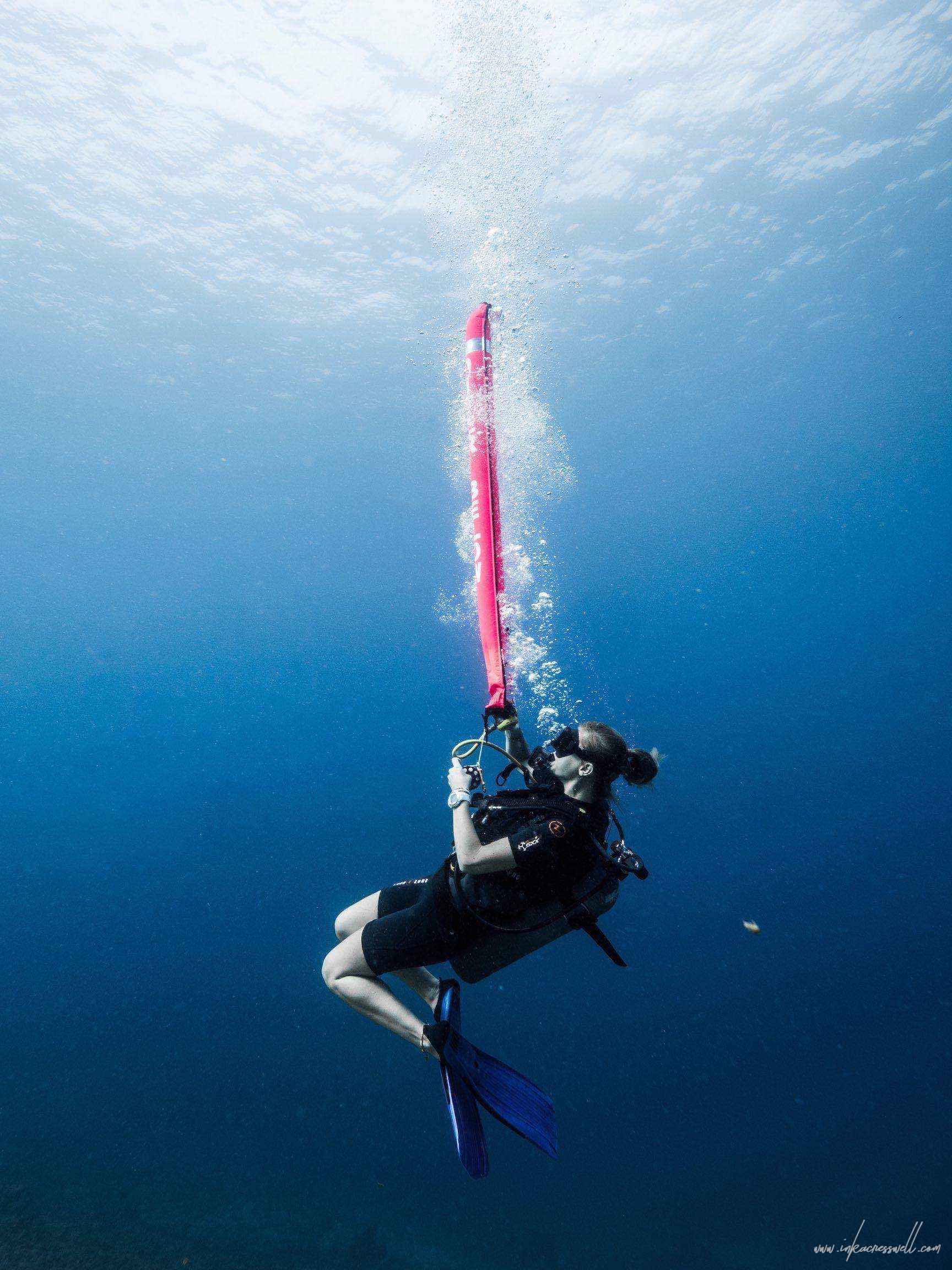 10 REASONS COMPLETING YOUR DIVE MASTER SHOULD BE YOUR NEXT BIG ...