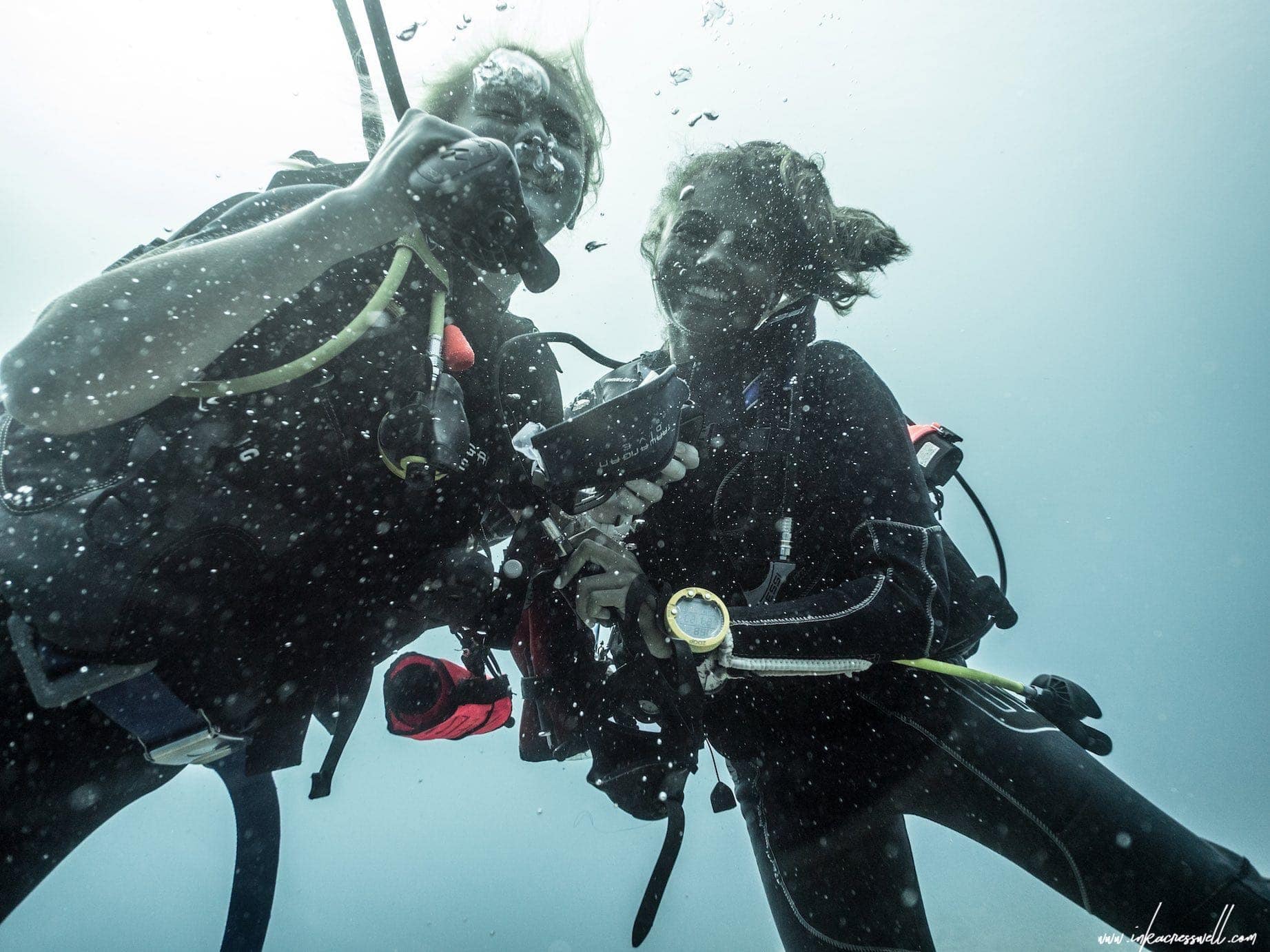 10 REASONS COMPLETING YOUR DIVE MASTER SHOULD BE YOUR NEXT BIG ...