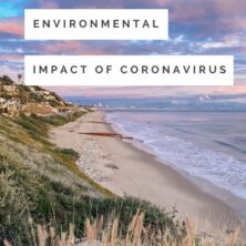 The Positive Environmental Impact Of Coronavirus