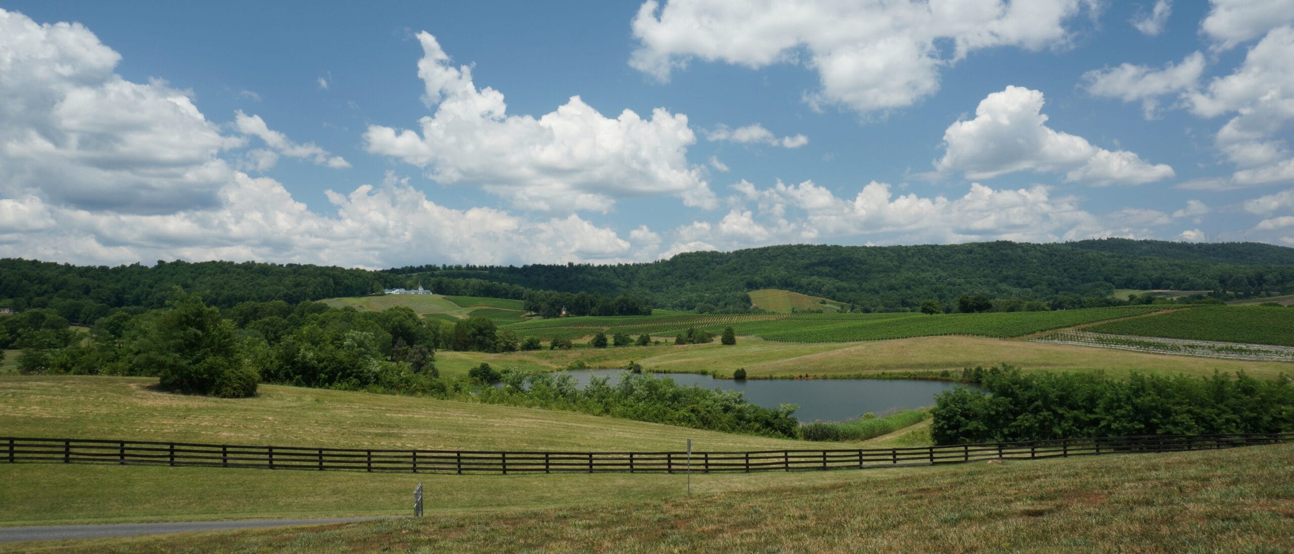 A Complete Girls Getaway Guide To Charlottesville, Virginia | We Are ...